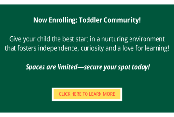 Now Enrolling Toddlers